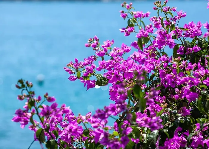 Small House At Seafront 度假居