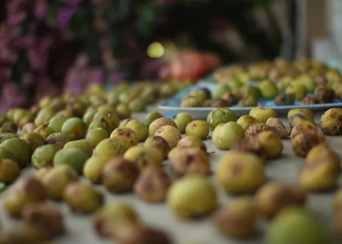 Small House At Seafront * 迪斯诺