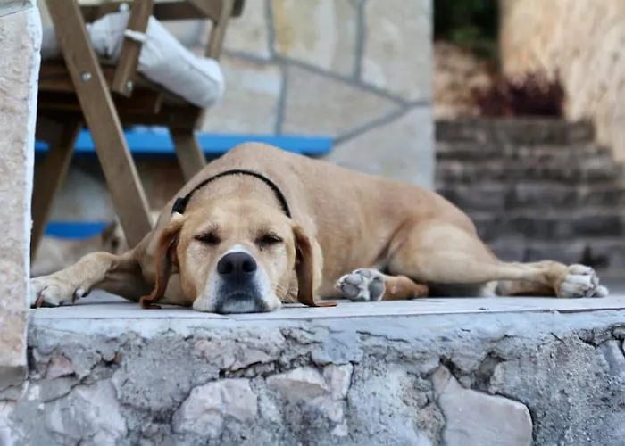 Small House At Seafront *